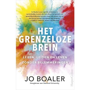 Het grenzeloze brein