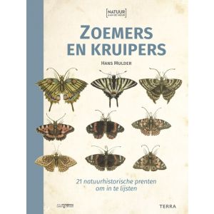 Natuur aan de muur - Zoemers en kruipers
